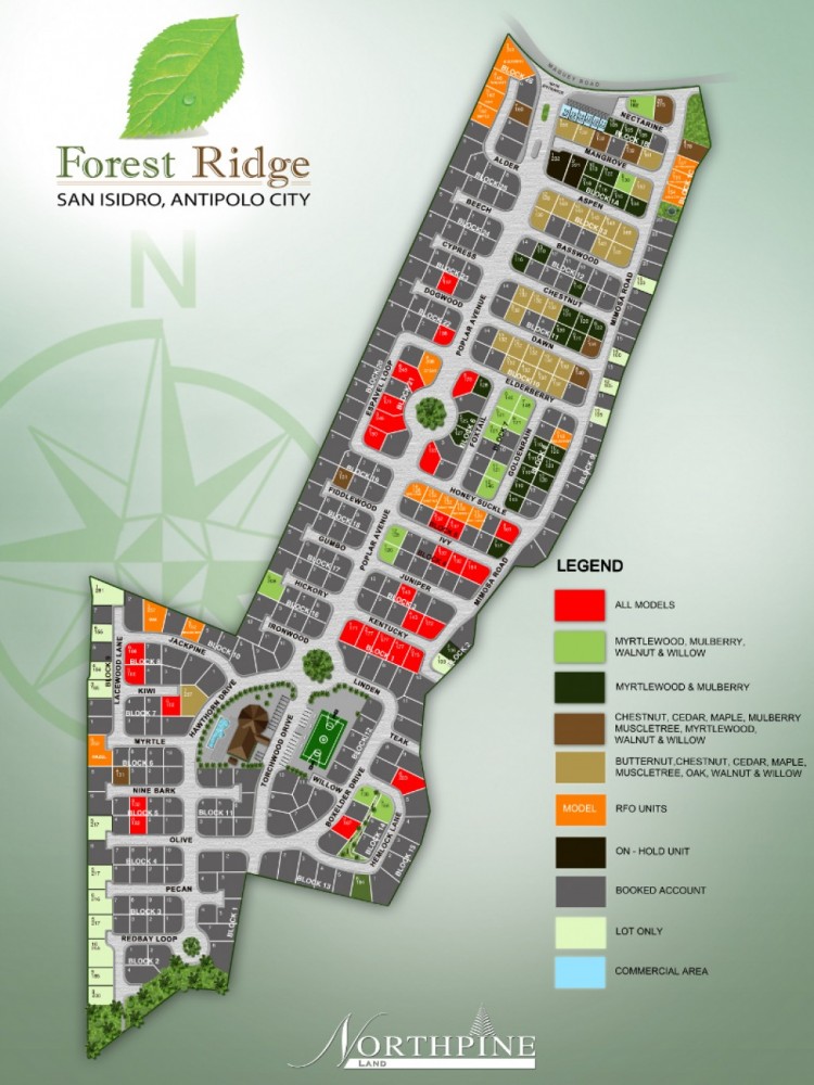 Forest Ridge House and Lot - San Isidro Antipolo City Northpine Land